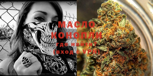 метадон Алексин