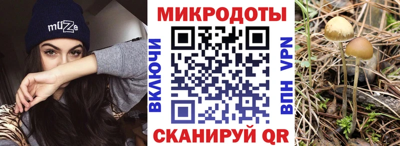 Галлюциногенные грибы Psilocybine cubensis  Чишмы 